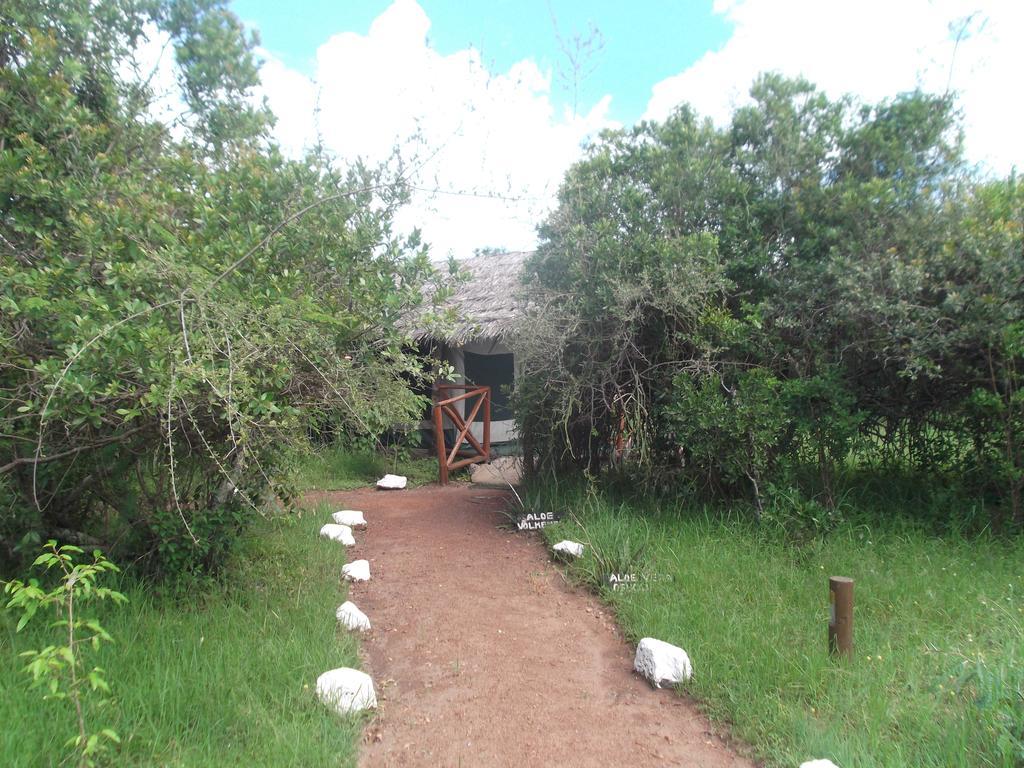Hotel Crocodile Camp-Masai Mara Talek Exterior foto