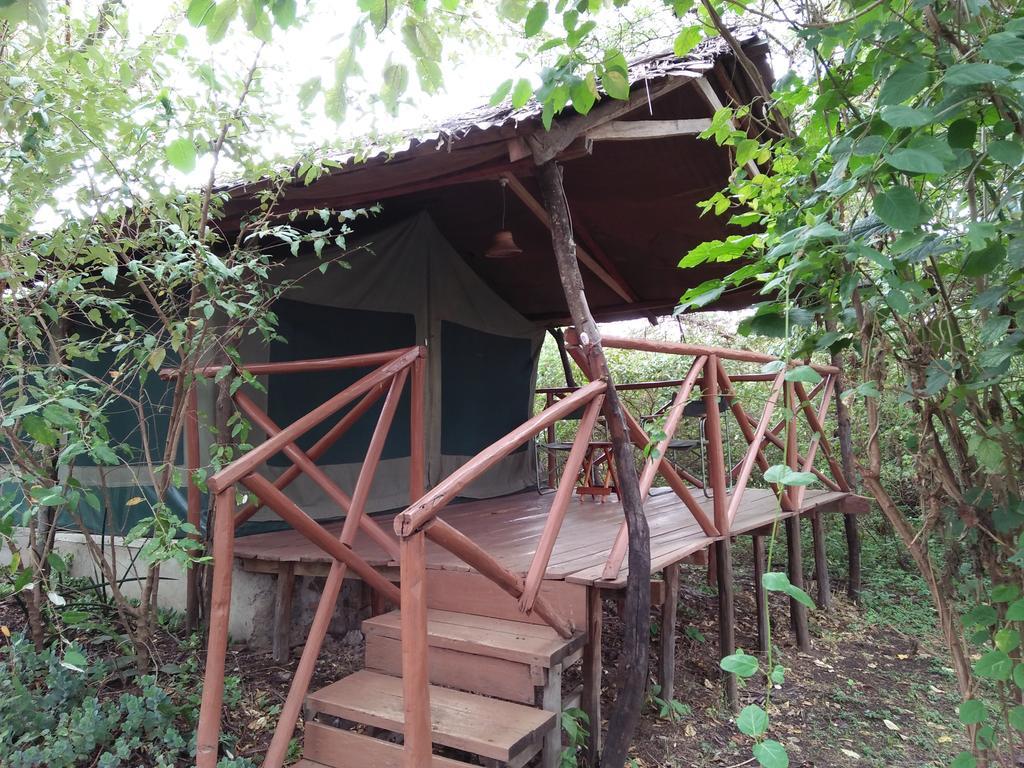 Hotel Crocodile Camp-Masai Mara Talek Exterior foto