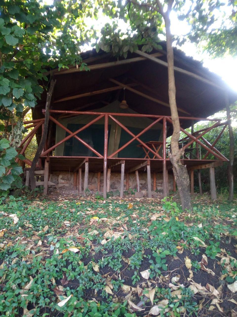 Hotel Crocodile Camp-Masai Mara Talek Exterior foto